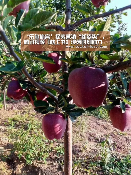 leyu官网