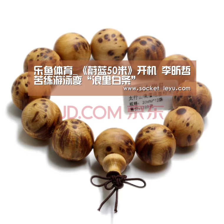 乐鱼官方网站地址