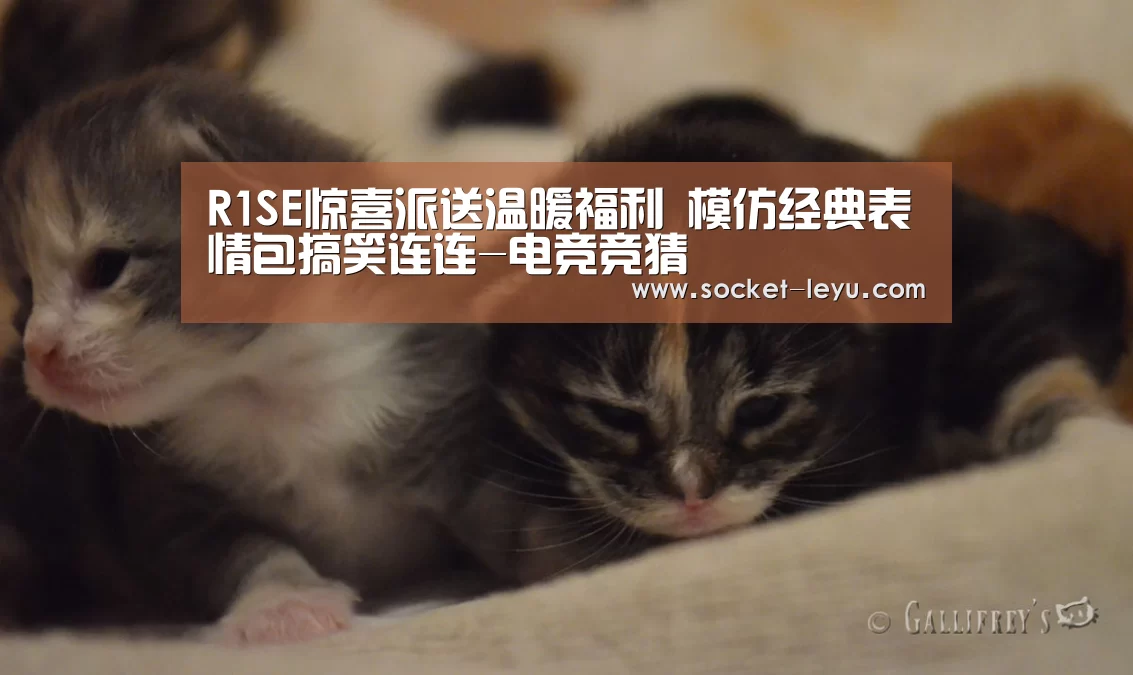 乐鱼官方网站地址