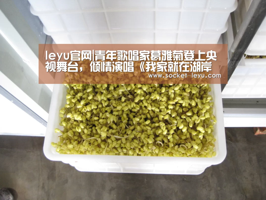 电竞竞猜